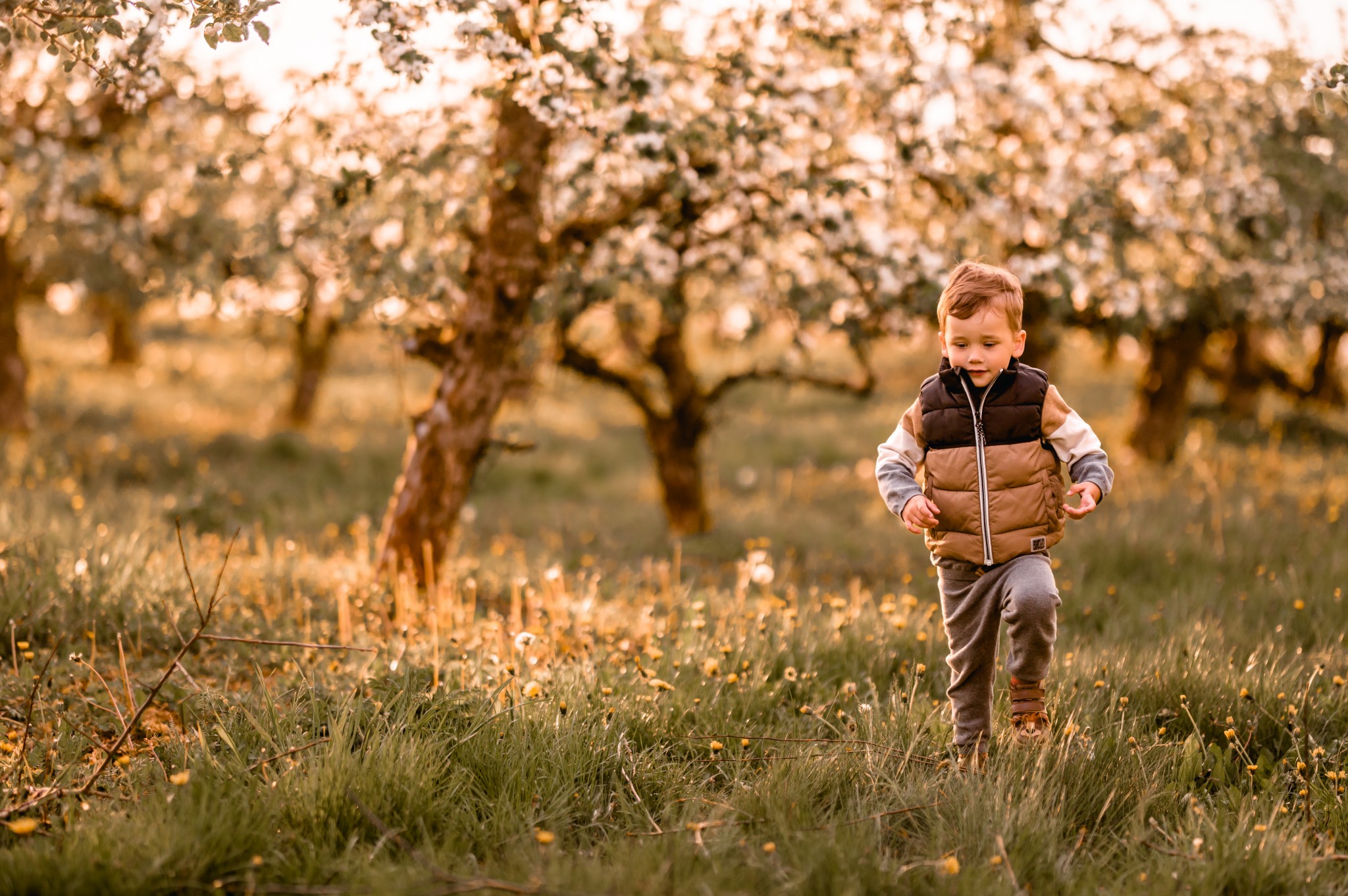 Kwiatowa sesja rodzinna w sadzie - Kostek i rodzice - Starogard Gdański Sesja rodzinna w sadzie 12 05 2022 Marta Trzcinska Fotografia 114 - Kwiatowa sesja rodzinna w sadzie - Kostek i rodzice - Starogard Gdański