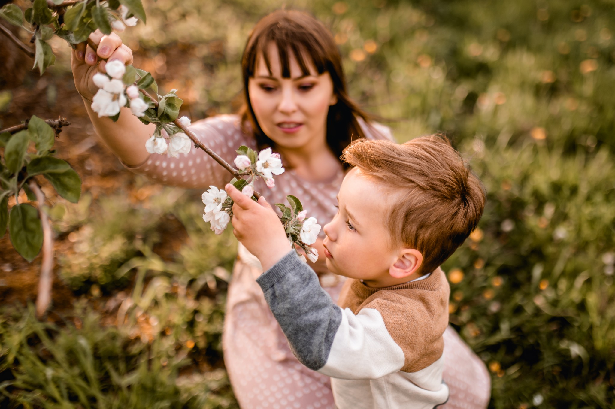 Kwiatowa sesja rodzinna w sadzie - Kostek i rodzice - Starogard Gdański Sesja rodzinna w sadzie 12 05 2022 Marta Trzcinska Fotografia 28 - Kwiatowa sesja rodzinna w sadzie - Kostek i rodzice - Starogard Gdański