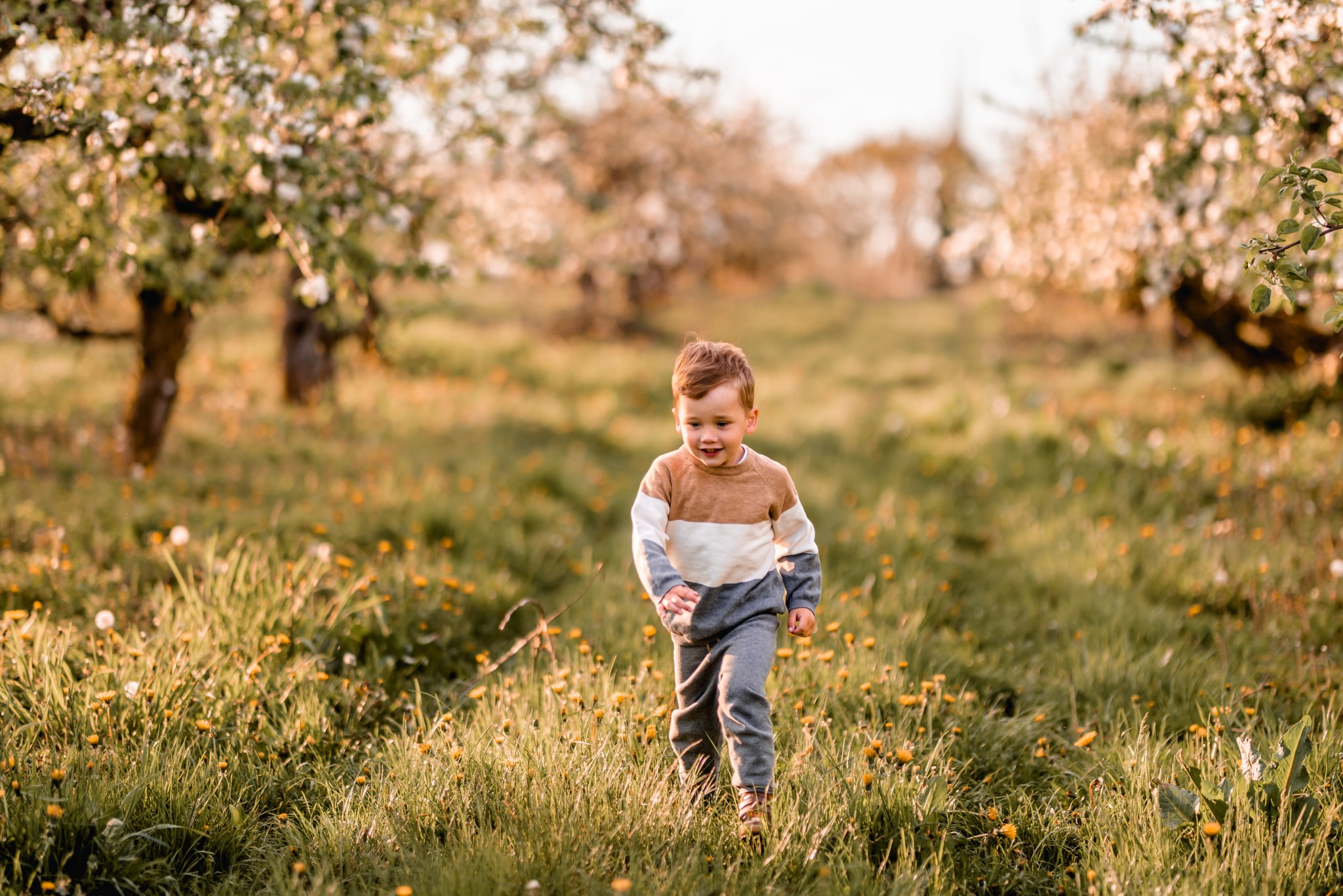 Kwiatowa sesja rodzinna w sadzie - Kostek i rodzice - Starogard Gdański Sesja rodzinna w sadzie 12 05 2022 Marta Trzcinska Fotografia 54 - Kwiatowa sesja rodzinna w sadzie - Kostek i rodzice - Starogard Gdański